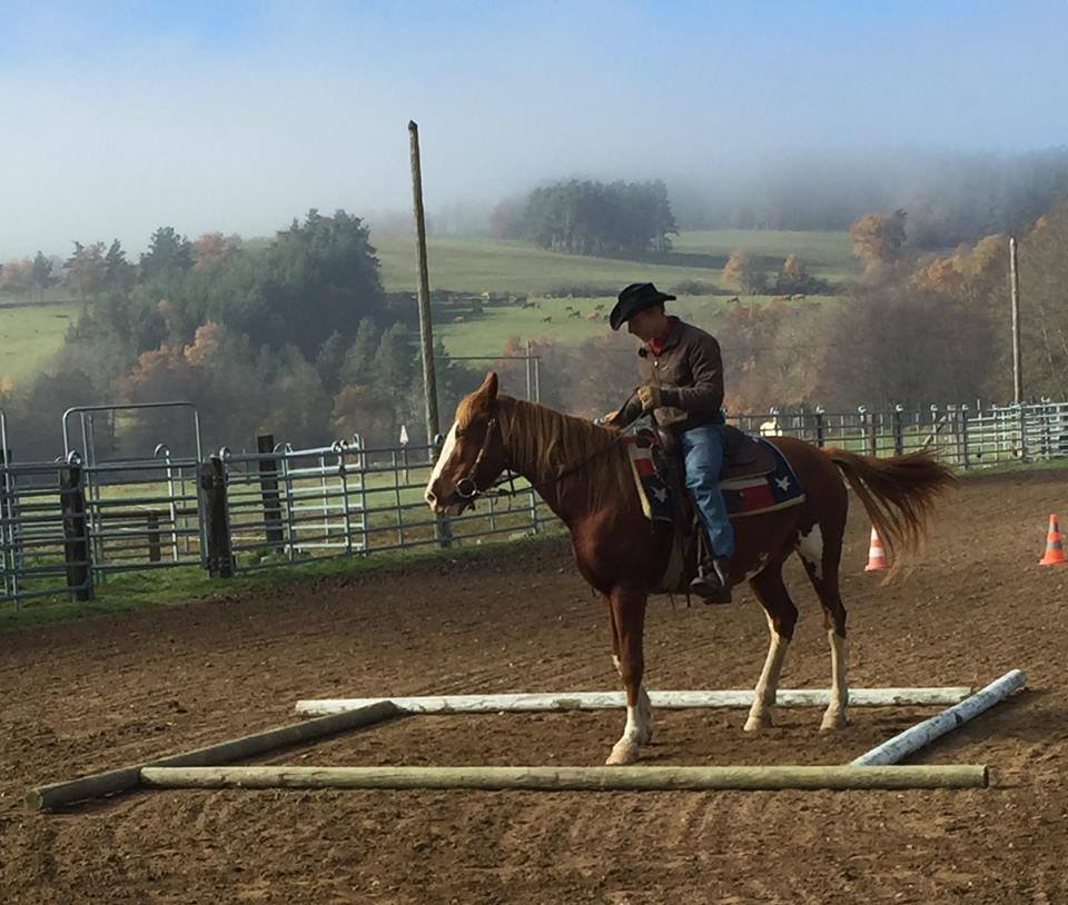 Equitation américaine